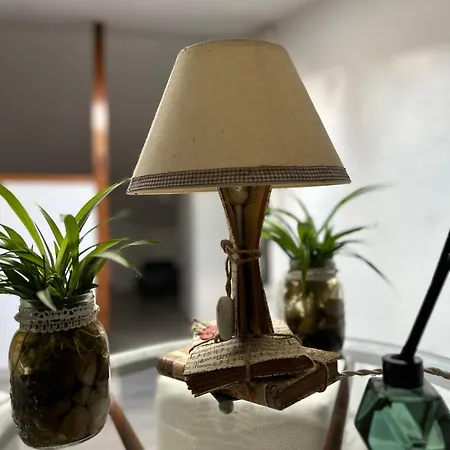 Classense House Apartmán *