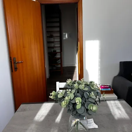 Classense House Apartmán *