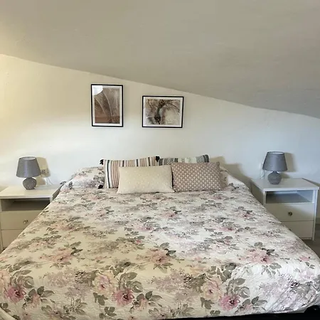 Classense House